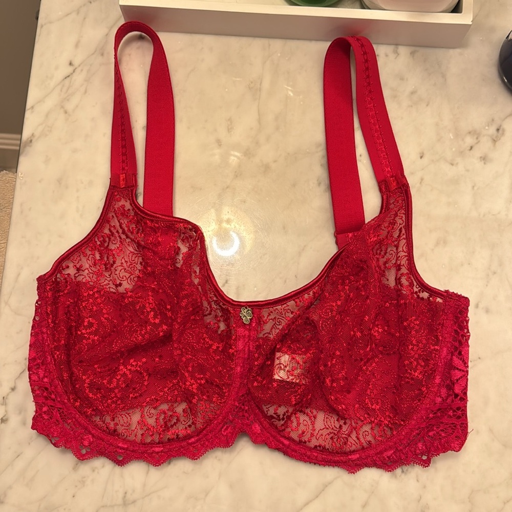 Luxurious Scarlet Lace Bra